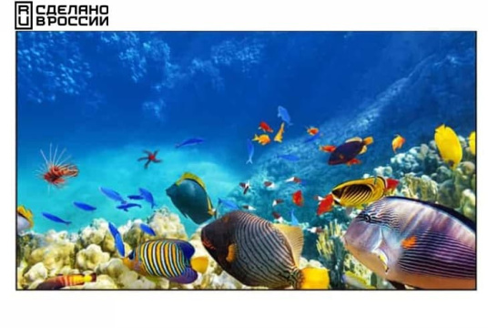 Изображение Панель для видеостен EliteBoard 55" BE-55D7